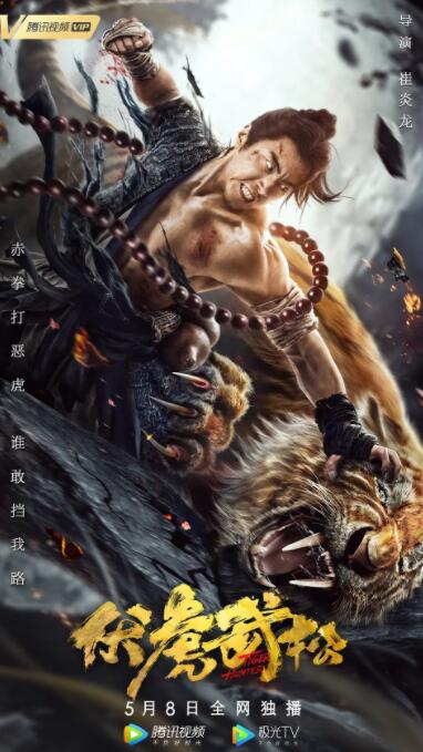 《姐夫的独宠》海报